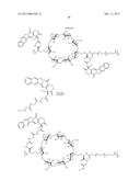 CYCLODEXTRIN-BASED POLYMERS FOR THERAPEUTICS DELIVERY diagram and image