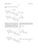 CYCLODEXTRIN-BASED POLYMERS FOR THERAPEUTICS DELIVERY diagram and image