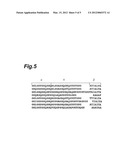 DRAGLINE PROTEIN diagram and image