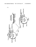 DUAL TARGETING ANTIBODY OF NOVEL FORM, AND USE THEREOF diagram and image