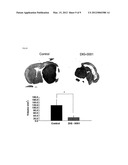 DUAL TARGETING ANTIBODY OF NOVEL FORM, AND USE THEREOF diagram and image