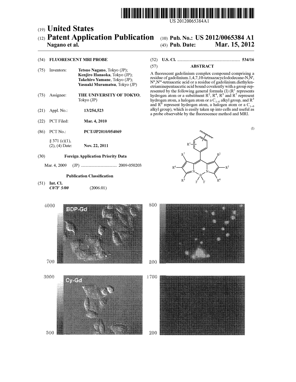 FLUORESCENT MRI PROBE - diagram, schematic, and image 01