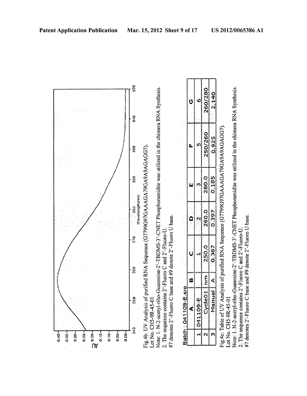 SYNTHESIS OF LABILE BASE PROTECTED - MODIFIED DEOXY & MODIFIED RIBO     NUCLEOSIDES, CORRESPONDING PHOSPHORAMIDITES AND SUPPORTS AND THEIR USE IN     HIGH PURITY OLIGONUCLEOTIDE SYNTHESIS - diagram, schematic, and image 10