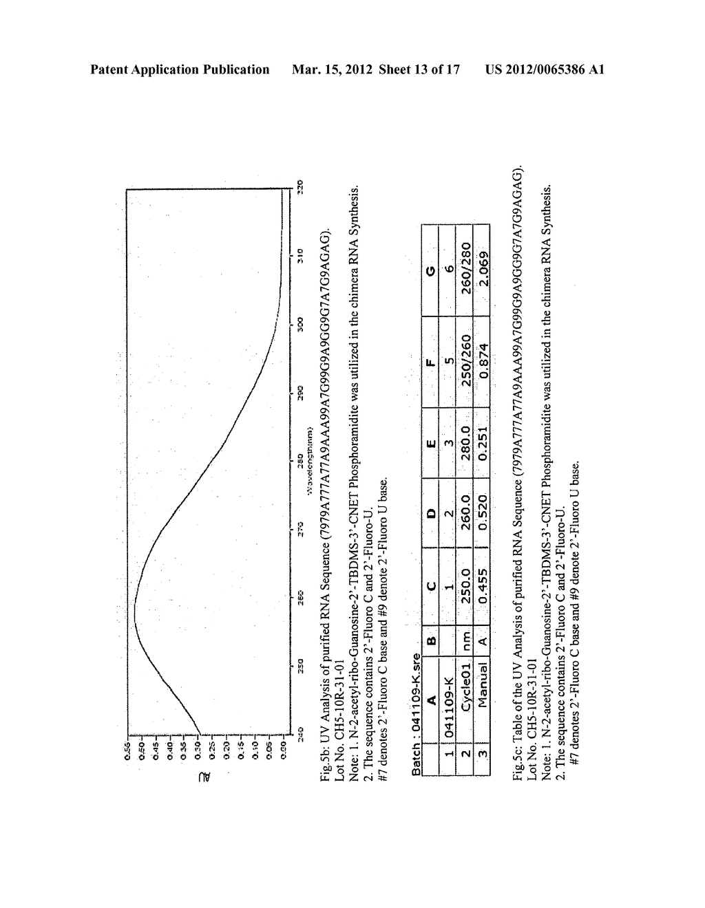 SYNTHESIS OF LABILE BASE PROTECTED - MODIFIED DEOXY & MODIFIED RIBO     NUCLEOSIDES, CORRESPONDING PHOSPHORAMIDITES AND SUPPORTS AND THEIR USE IN     HIGH PURITY OLIGONUCLEOTIDE SYNTHESIS - diagram, schematic, and image 14