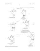 SYNTHESIS OF LABILE BASE PROTECTED - MODIFIED DEOXY & MODIFIED RIBO     NUCLEOSIDES, CORRESPONDING PHOSPHORAMIDITES AND SUPPORTS AND THEIR USE IN     HIGH PURITY OLIGONUCLEOTIDE SYNTHESIS diagram and image