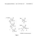 SYNTHESIS OF SELENIUM-DERIVATIZED NUCLEOSIDES, NUCLEOTIDES,     PHOSPHORAMIDITES, TRIPHOSPHATES AND NUCLEIC ACIDS diagram and image