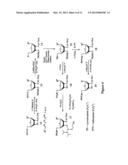 SYNTHESIS OF SELENIUM-DERIVATIZED NUCLEOSIDES, NUCLEOTIDES,     PHOSPHORAMIDITES, TRIPHOSPHATES AND NUCLEIC ACIDS diagram and image