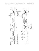 SYNTHESIS OF SELENIUM-DERIVATIZED NUCLEOSIDES, NUCLEOTIDES,     PHOSPHORAMIDITES, TRIPHOSPHATES AND NUCLEIC ACIDS diagram and image