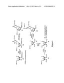 SYNTHESIS OF SELENIUM-DERIVATIZED NUCLEOSIDES, NUCLEOTIDES,     PHOSPHORAMIDITES, TRIPHOSPHATES AND NUCLEIC ACIDS diagram and image