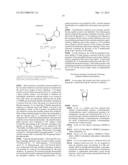 SYNTHESIS OF SELENIUM-DERIVATIZED NUCLEOSIDES, NUCLEOTIDES,     PHOSPHORAMIDITES, TRIPHOSPHATES AND NUCLEIC ACIDS diagram and image