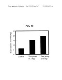 ISOINDOLINONE DERIVATIVES, PREPARATION METHOD THEREOF AND A PHARMACEUTICAL     COMPOSITION COMPRISING SAME diagram and image