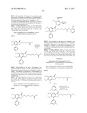 ISOINDOLINONE DERIVATIVES, PREPARATION METHOD THEREOF AND A PHARMACEUTICAL     COMPOSITION COMPRISING SAME diagram and image