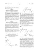 ISOINDOLINONE DERIVATIVES, PREPARATION METHOD THEREOF AND A PHARMACEUTICAL     COMPOSITION COMPRISING SAME diagram and image