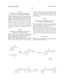 ISOINDOLINONE DERIVATIVES, PREPARATION METHOD THEREOF AND A PHARMACEUTICAL     COMPOSITION COMPRISING SAME diagram and image