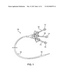 INDWELLING LUMINAL DEVICES diagram and image