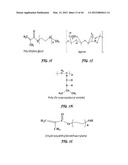 POLYIONIC TRANSITIONAL METAL PHOSPHORESCENT COMPLEX/POLYMER HYBRID SYSTEMS     FOR BIOIMAGING AND SENSING APPLICATIONS diagram and image