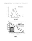 POLYIONIC TRANSITIONAL METAL PHOSPHORESCENT COMPLEX/POLYMER HYBRID SYSTEMS     FOR BIOIMAGING AND SENSING APPLICATIONS diagram and image