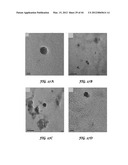 POLYIONIC TRANSITIONAL METAL PHOSPHORESCENT COMPLEX/POLYMER HYBRID SYSTEMS     FOR BIOIMAGING AND SENSING APPLICATIONS diagram and image