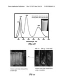 POLYIONIC TRANSITIONAL METAL PHOSPHORESCENT COMPLEX/POLYMER HYBRID SYSTEMS     FOR BIOIMAGING AND SENSING APPLICATIONS diagram and image