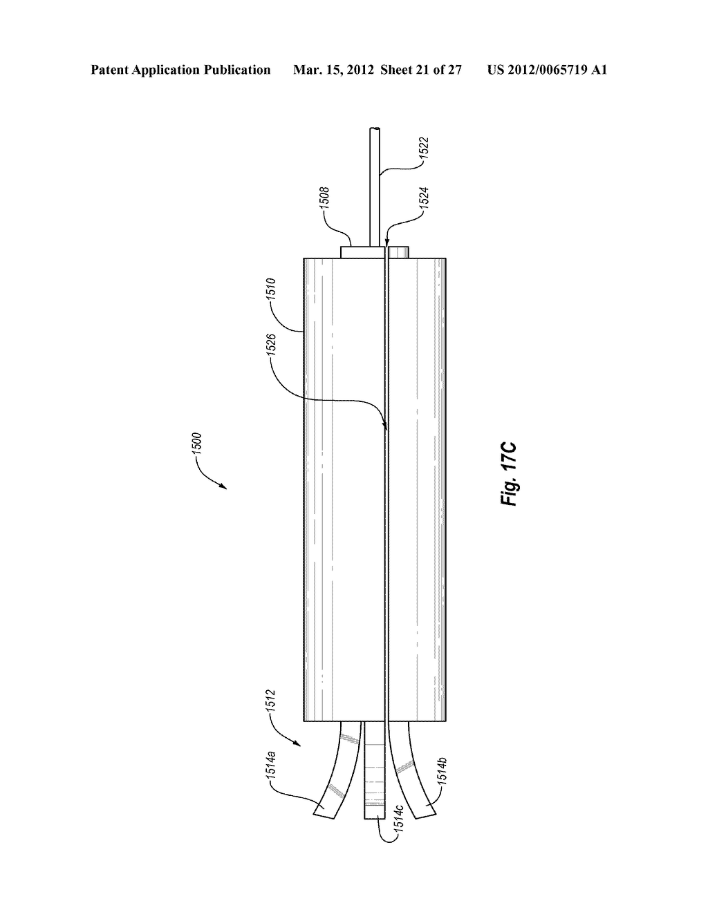 MEDICAL DEVICE SHIELD AND METHODS FOR DELIVERING A MEDICAL DEVICE - diagram, schematic, and image 22