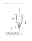 Apparatus and Methods for Loading a Drug Eluting Medical Device diagram and image