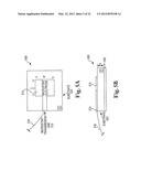 METHOD AND APPARATUS FOR KILLING MICROBES ON SURFACES WITH AN APPLIED     ELECTRIC FIELD diagram and image