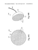 METHOD AND APPARATUS FOR KILLING MICROBES ON SURFACES WITH AN APPLIED     ELECTRIC FIELD diagram and image