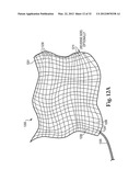 METHOD AND APPARATUS FOR KILLING MICROBES ON SURFACES WITH AN APPLIED     ELECTRIC FIELD diagram and image