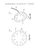 METHOD AND APPARATUS FOR KILLING MICROBES ON SURFACES WITH AN APPLIED     ELECTRIC FIELD diagram and image