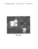 METHOD AND APPARATUS FOR KILLING MICROBES ON SURFACES WITH AN APPLIED     ELECTRIC FIELD diagram and image