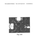 METHOD AND APPARATUS FOR KILLING MICROBES ON SURFACES WITH AN APPLIED     ELECTRIC FIELD diagram and image