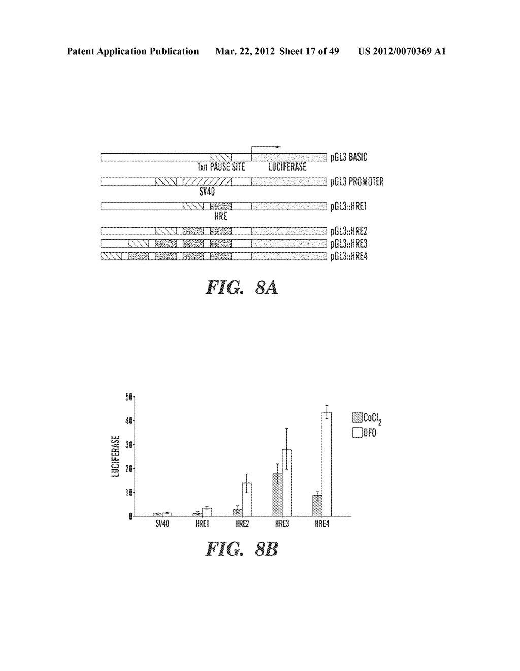 HIF INHIBITORS AND USE THEREOF - diagram, schematic, and image 18