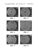 Topical drug delivery system with dual carriers diagram and image