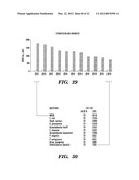 Topical drug delivery system with dual carriers diagram and image