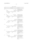 NOVEL AMIDE DERIVATIVE AND WHITENING AGENT diagram and image