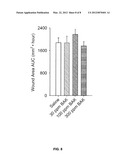 Composition and Method for Promoting Wound Healing diagram and image