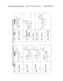 SUBSTITUTED NUCLEOTIDE ANALOGS diagram and image