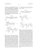 SUBSTITUTED NUCLEOTIDE ANALOGS diagram and image