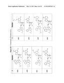 SUBSTITUTED NUCLEOTIDE ANALOGS diagram and image