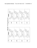 SUBSTITUTED NUCLEOTIDE ANALOGS diagram and image