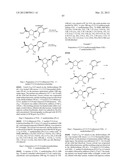 SUBSTITUTED NUCLEOTIDE ANALOGS diagram and image