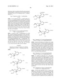 SUBSTITUTED NUCLEOTIDE ANALOGS diagram and image