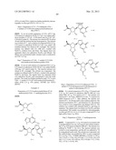 SUBSTITUTED NUCLEOTIDE ANALOGS diagram and image