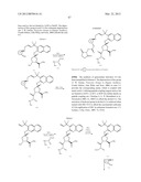 Macrocyclic Proline Derived HCV Serine Protease Inhibitors diagram and image