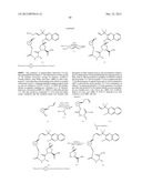 Macrocyclic Proline Derived HCV Serine Protease Inhibitors diagram and image