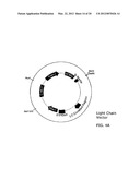 PEPTIDE-BASED PASSIVE IMMUNIZATION THERAPY FOR THE TREATMENT OF     ATHEROSCLEROSIS diagram and image