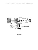 FLAVONOID HYDROGEL diagram and image