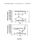 FLAVONOID HYDROGEL diagram and image