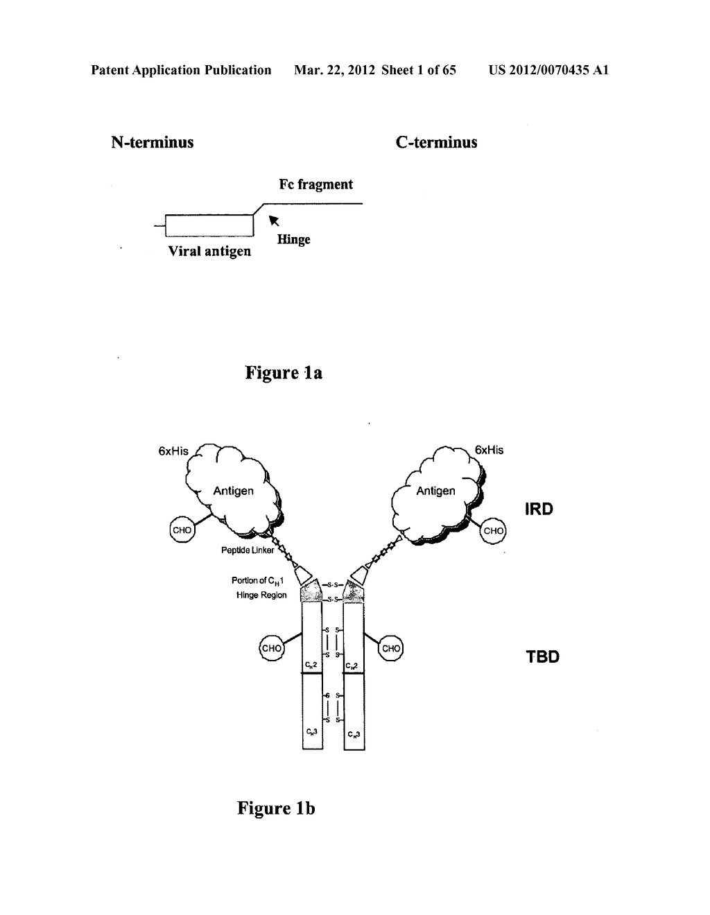 CHIMERIC ANTIGENS FOR ELICITING AN IMMUNE RESPONSE - diagram, schematic, and image 02