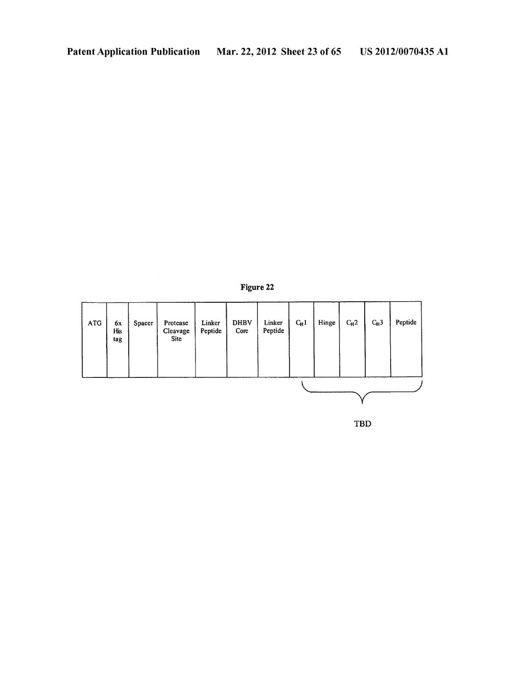 CHIMERIC ANTIGENS FOR ELICITING AN IMMUNE RESPONSE - diagram, schematic, and image 24